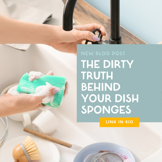 The Truth Behind Your Dish Sponges