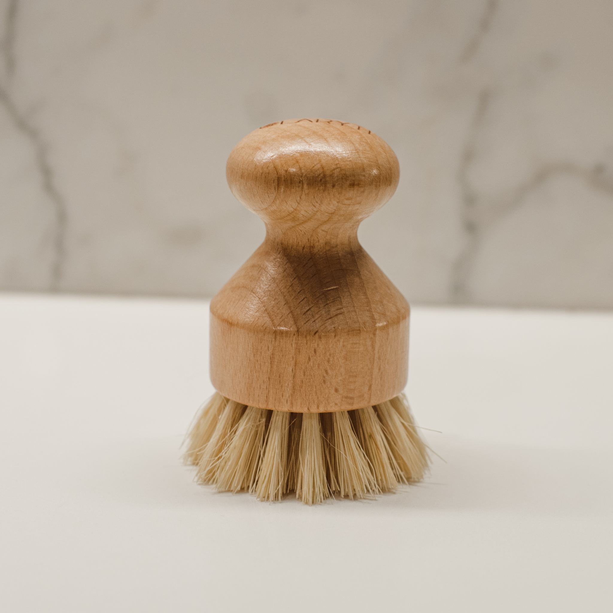 Wooden Dish Brush | Long Handle