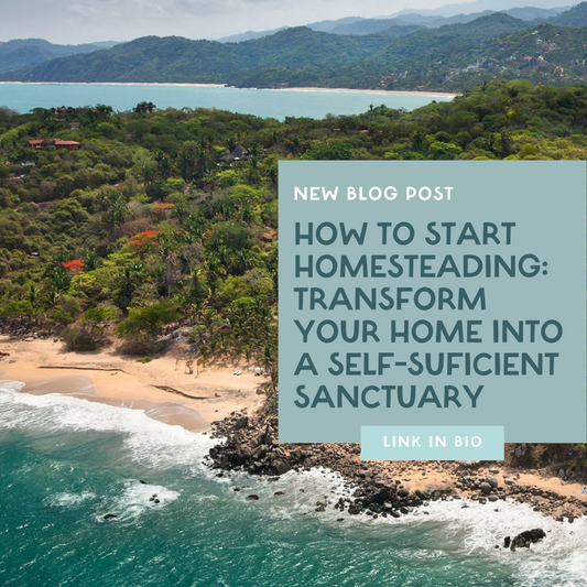 How to Start Homesteading: Transform Your Home into a Self-Sufficient Sanctuary
